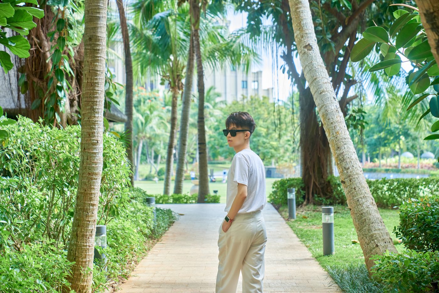 Yu Ma on a palm-lined path